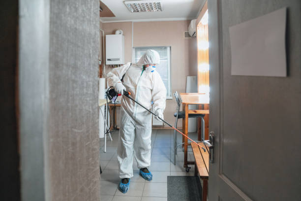  East Hemet, CA Mold Removal Pros
