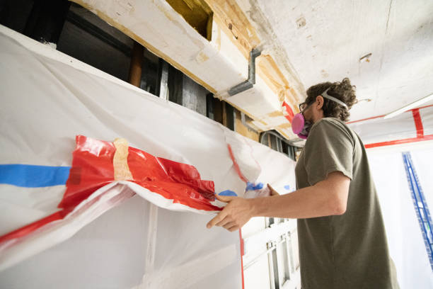Trusted East Hemet, CA Mold Removal Experts