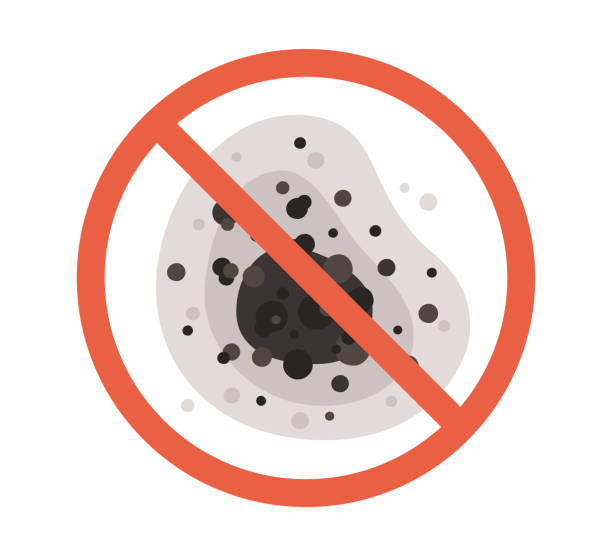 Best Mold Documentation for Insurance Claims  in East Hemet, CA